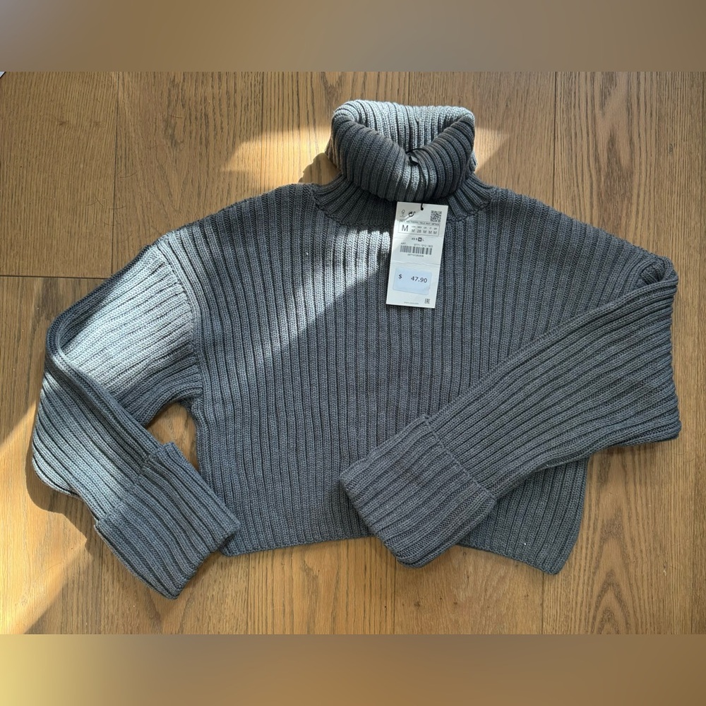 Zara Turtleneck
